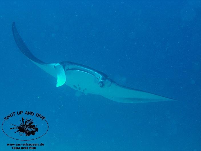 TG331-08-10-27_10-51a(25)