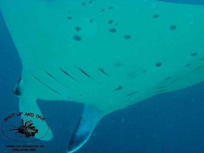 TG331-08-10-27_10-51d(25)