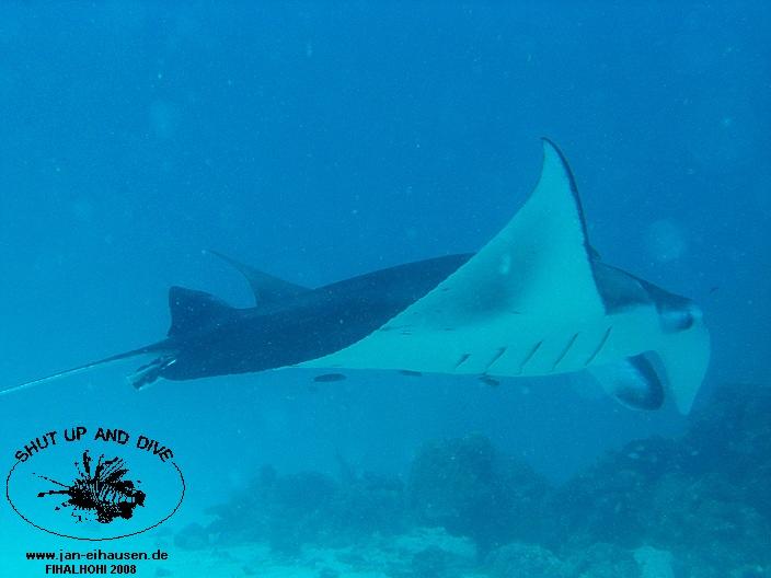 TG331-08-10-27_10-56(25)