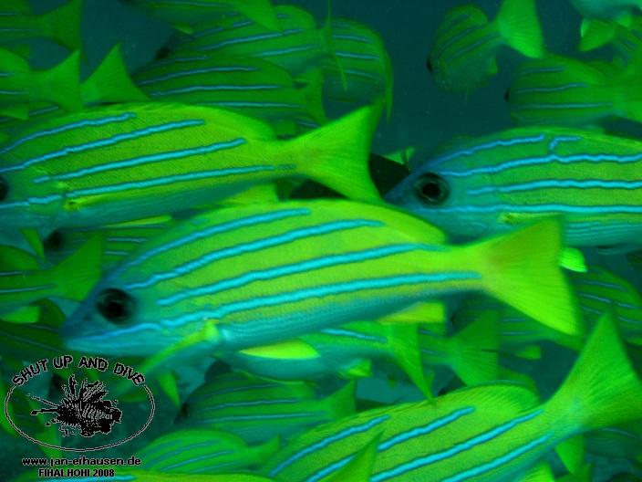 TG332-08-10-27_15-43a(25)