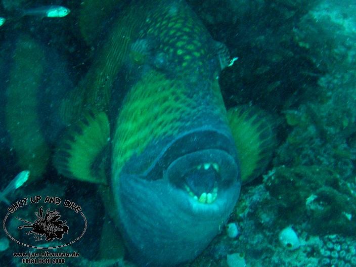 TG332-08-10-27_15-54b(25)