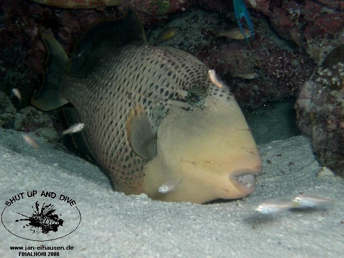 TG333-08-10-27_18-54(25)