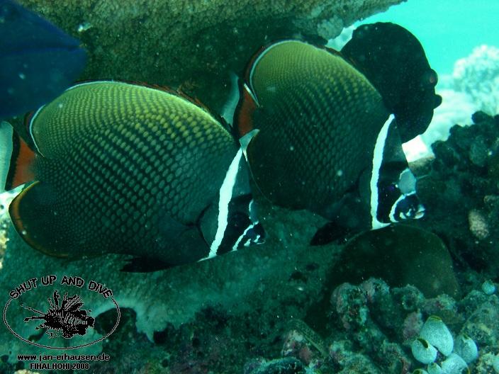 TG334-08-10-28_09-59(25)