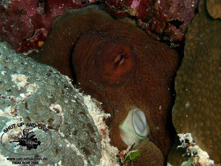 TG334-08-10-28_10-27b(25)