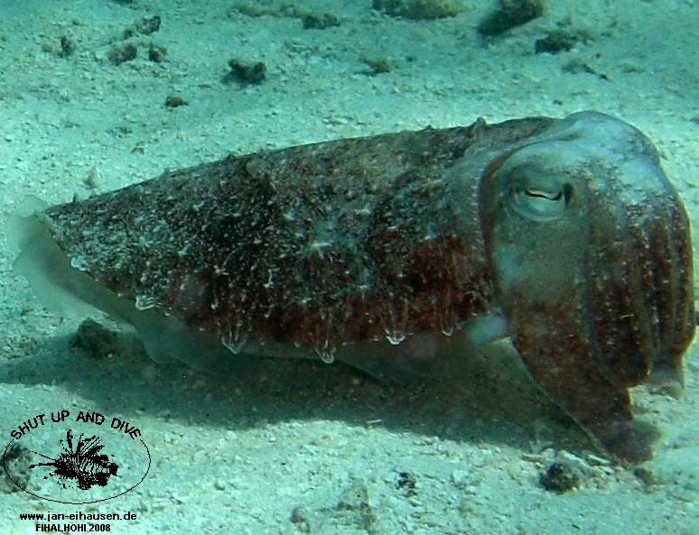 TG334-08-10-28_10-48a