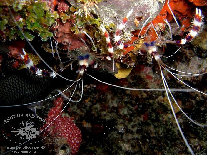 TG335-08-10-28_15-13a(25)