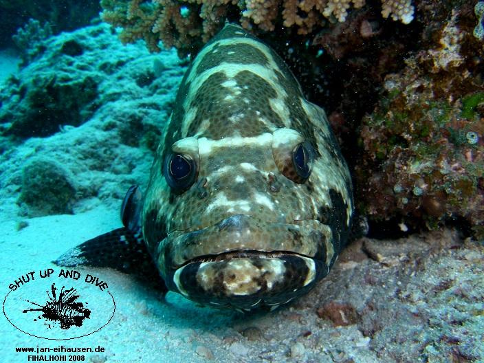 TG335-08-10-28_15-14(25)