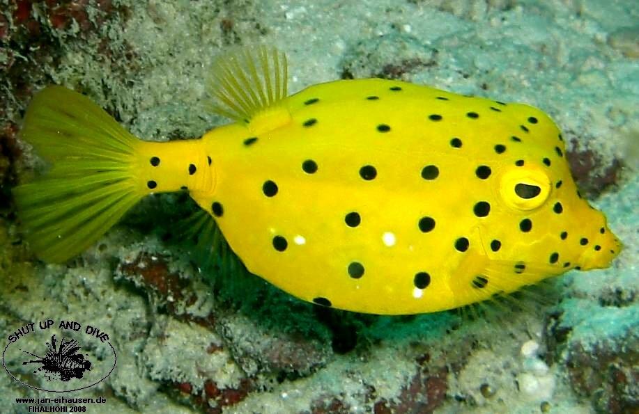 TG335-08-10-28_15-48a