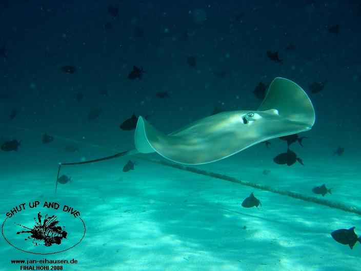 TG337-08-10-29_14-45(25)