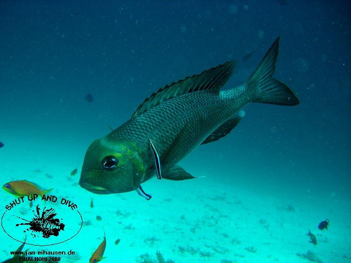 TG337-08-10-29_14-48(25)