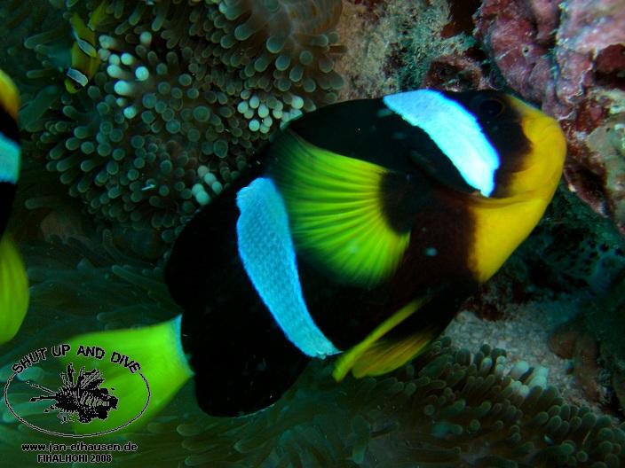 TG337-08-10-29_15-27b(25)