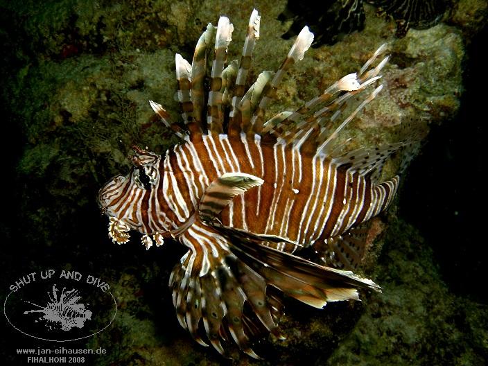 TG338-08-10-29_18-50(25)