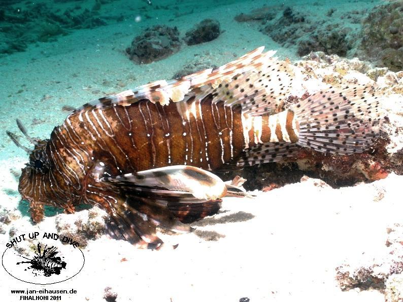 TG358001-2011-10-07(20)