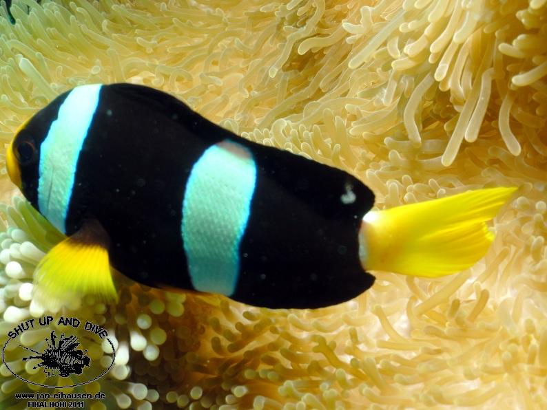 TG358005-2011-10-07(20)