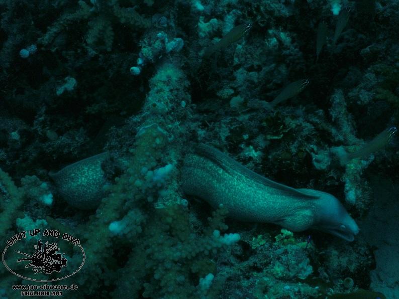 TG359001-2011-10-08(20)