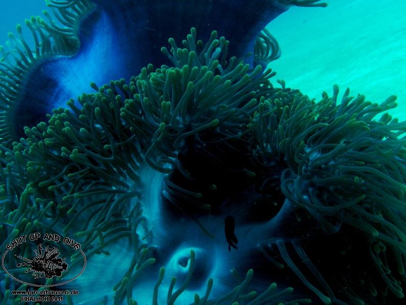 TG362003-2011-10-09(20)