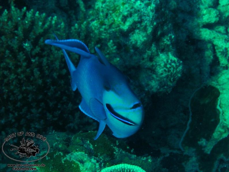 TG362007-2011-10-09(20)