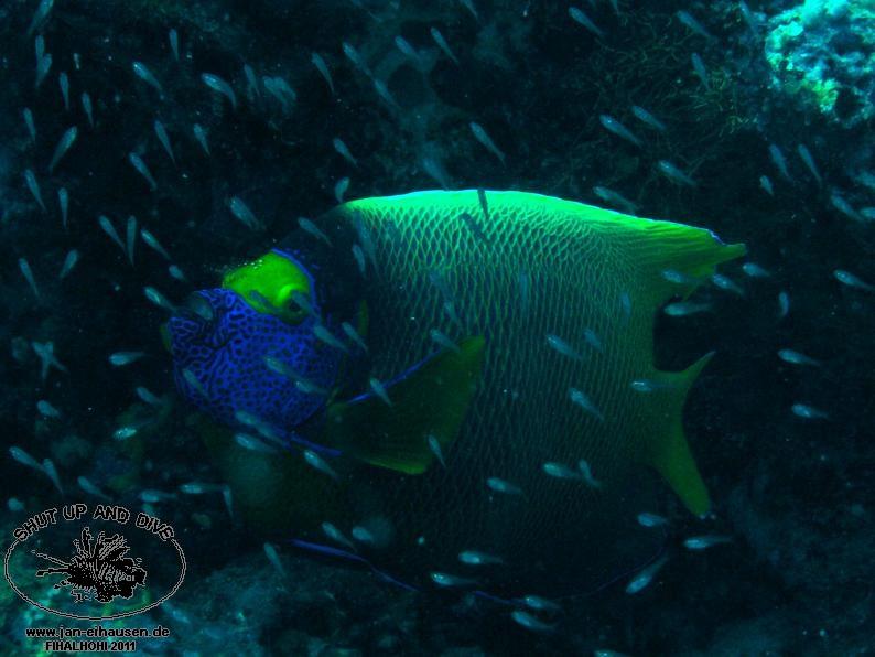 TG362009-2011-10-09(20)