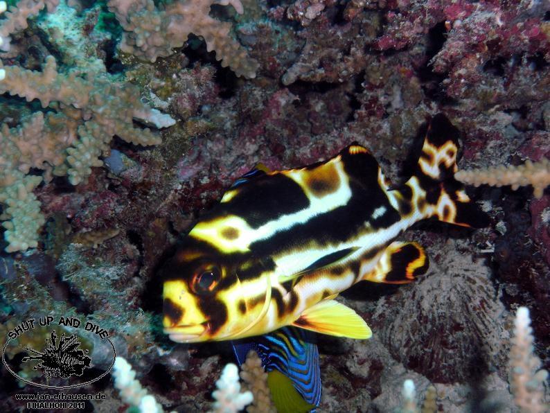 TG363011-2011-10-09(20)