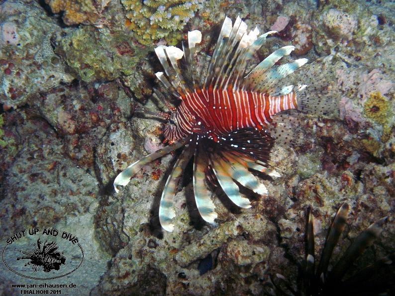 TG364001-2011-10-09(20)