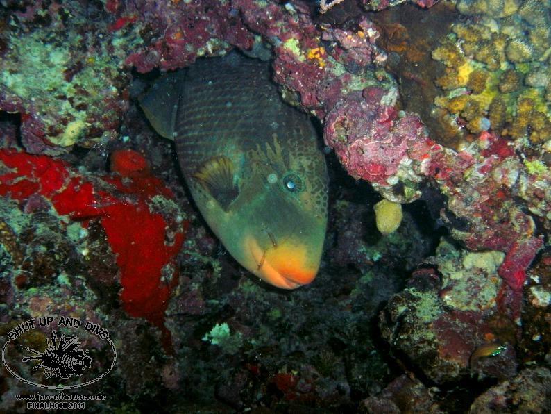 TG364005-2011-10-09(20)