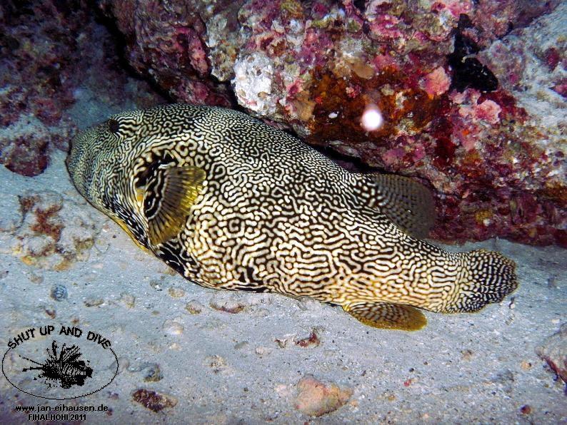 TG364008-2011-10-09(20)