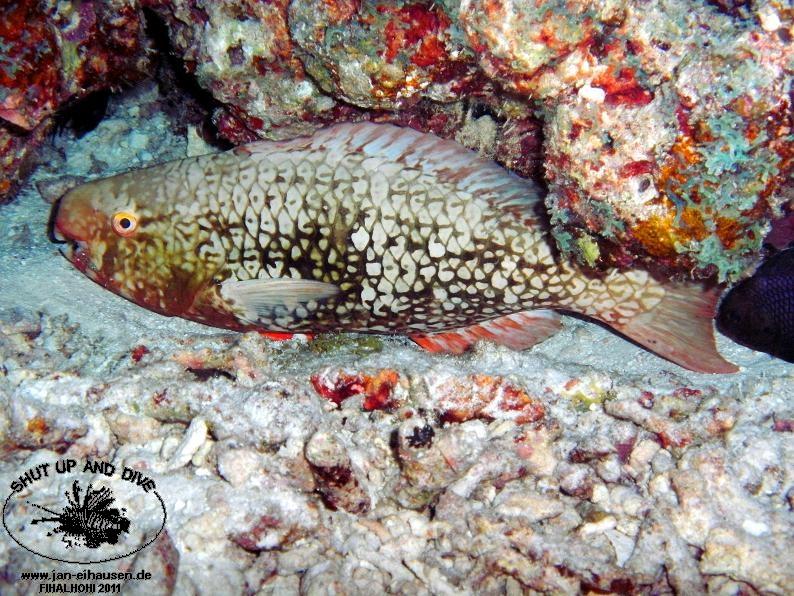 TG364015-2011-10-09(20)