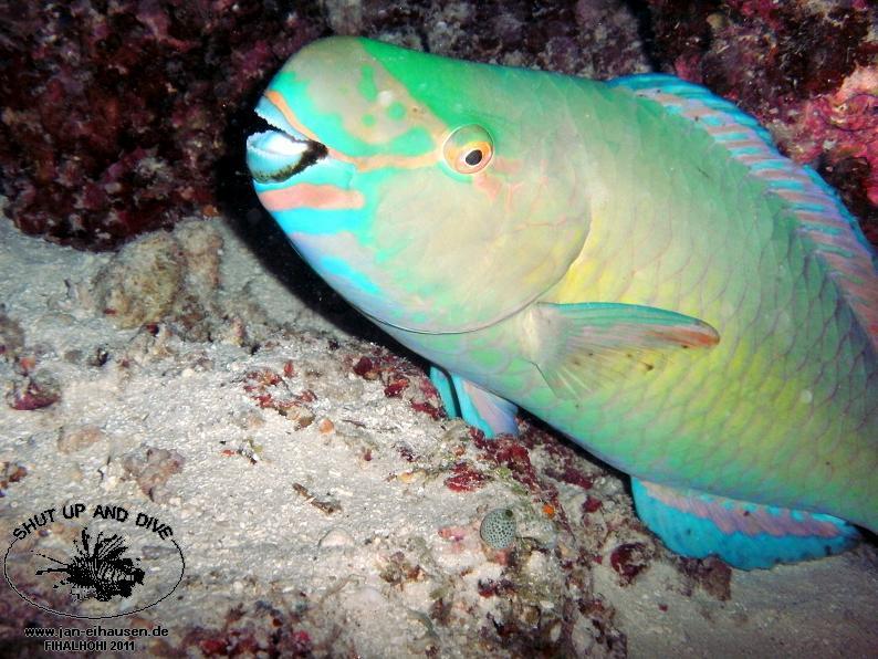 TG364017-2011-10-09(20)