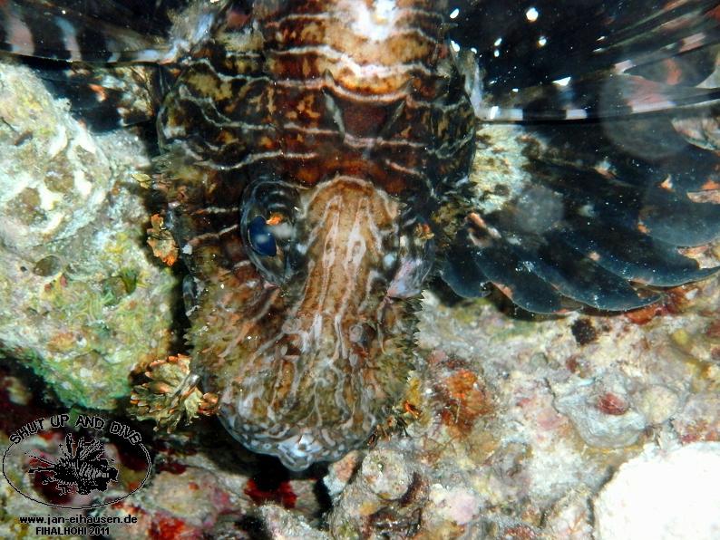 TG364020-2011-10-09(20)