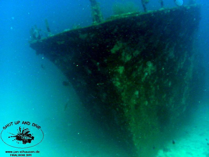 TG365004-2011-10-10(20)