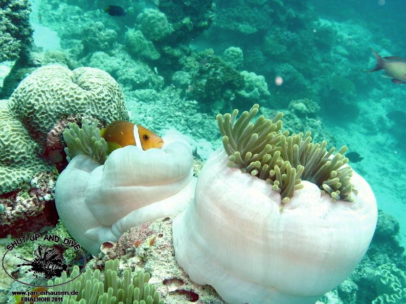 TG365012-2011-10-10(20)