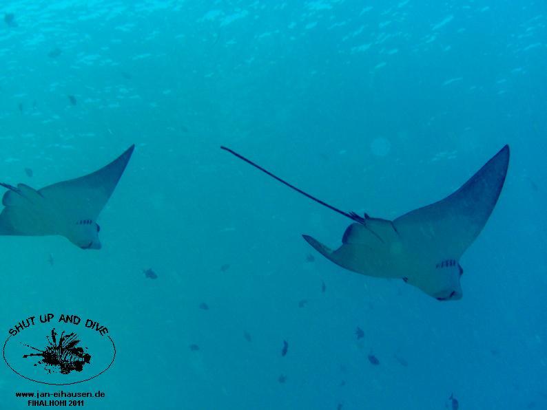 TG367002-2011-10-11(20)