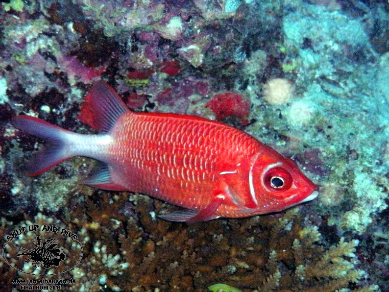 TG369007-2011-10-11(20)