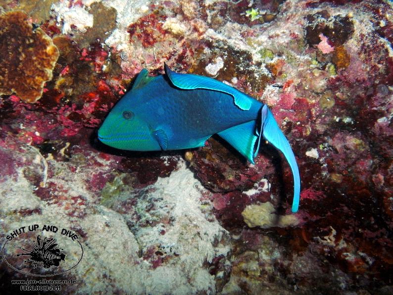 TG369008-2011-10-11(20)