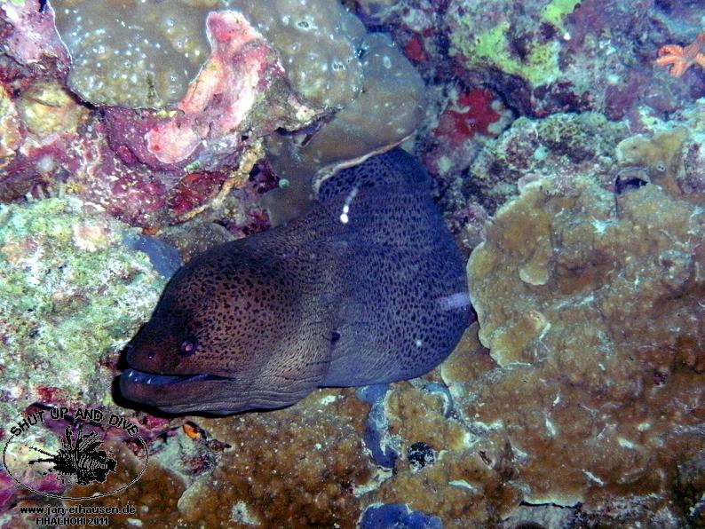 TG369009-2011-10-11(20)