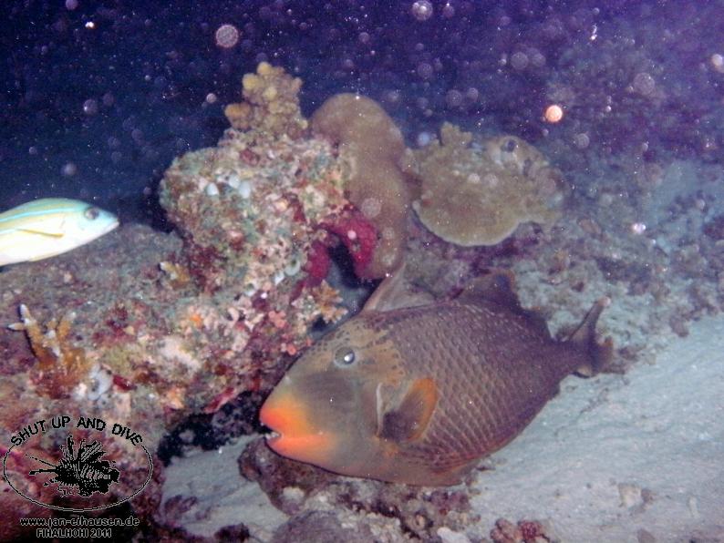 TG369015-2011-10-11(20)