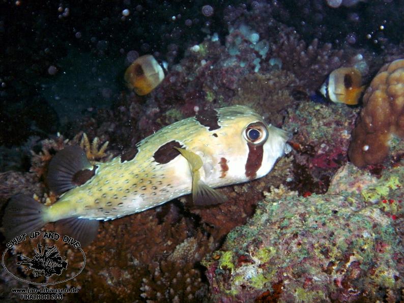 TG369017-2011-10-11(20)