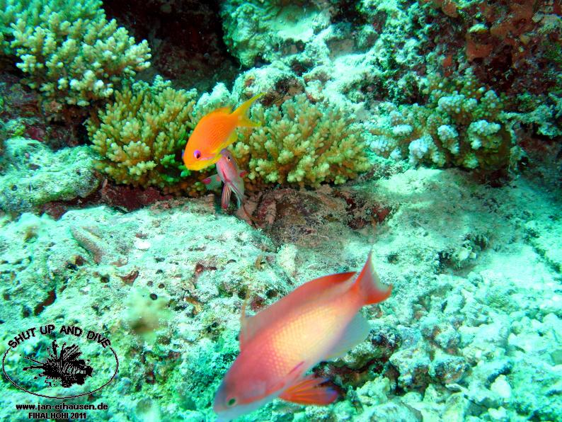 TG370011-2011-10-12(20)