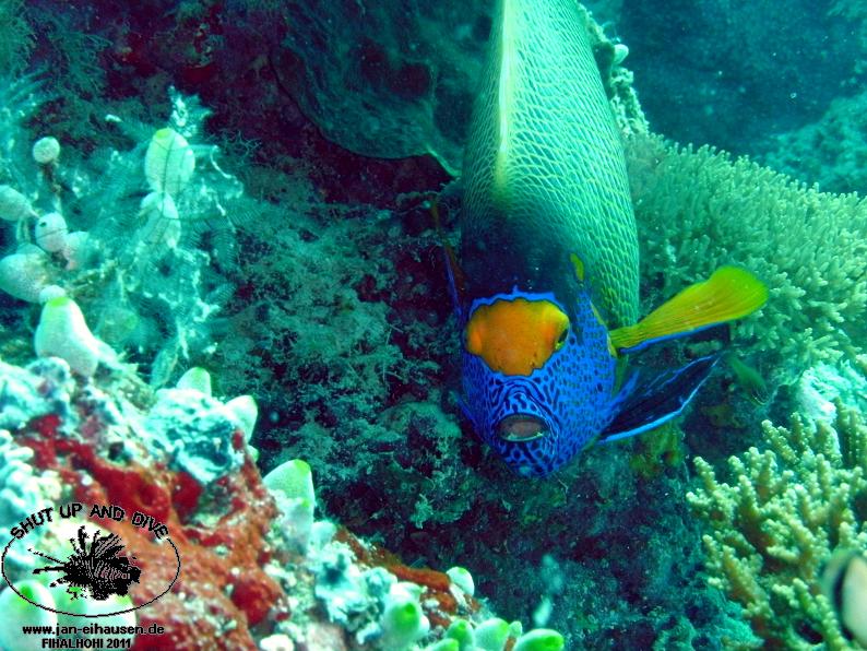 TG371005-2011-10-12(20)