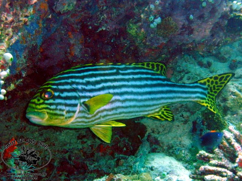 TG371027-2011-10-12(20)