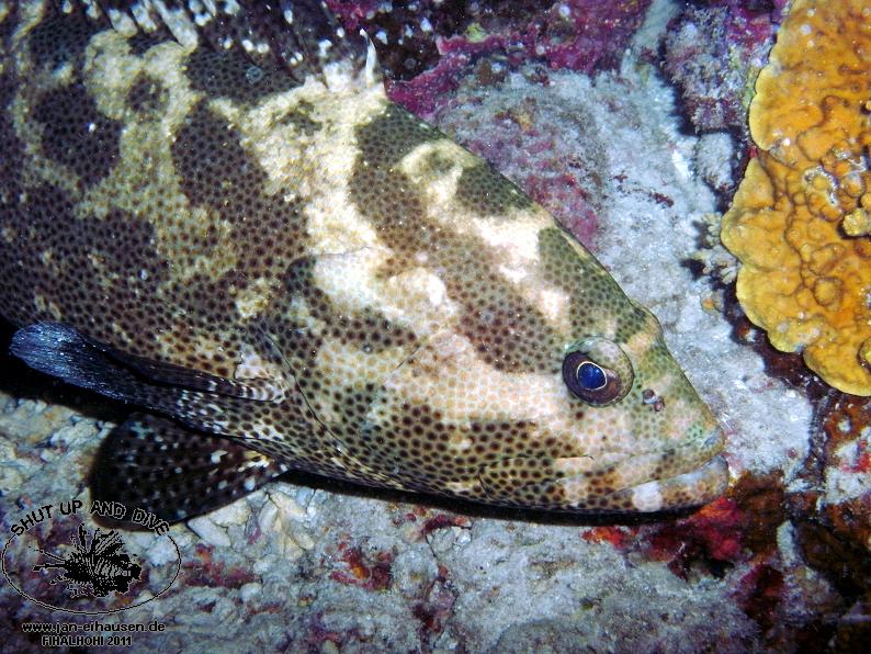 TG372002-2011-10-12(20)