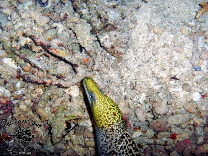 TG372012-2011-10-12(20)